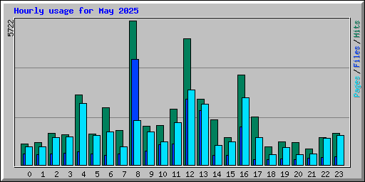Hourly usage for May 2025