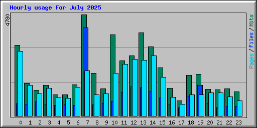 Hourly usage for July 2025