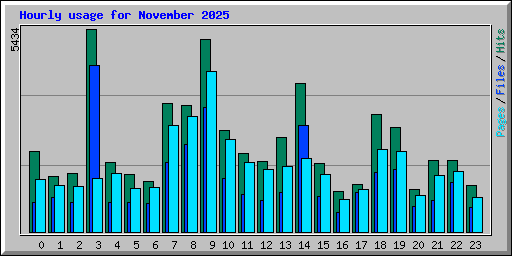 Hourly usage for November 2025